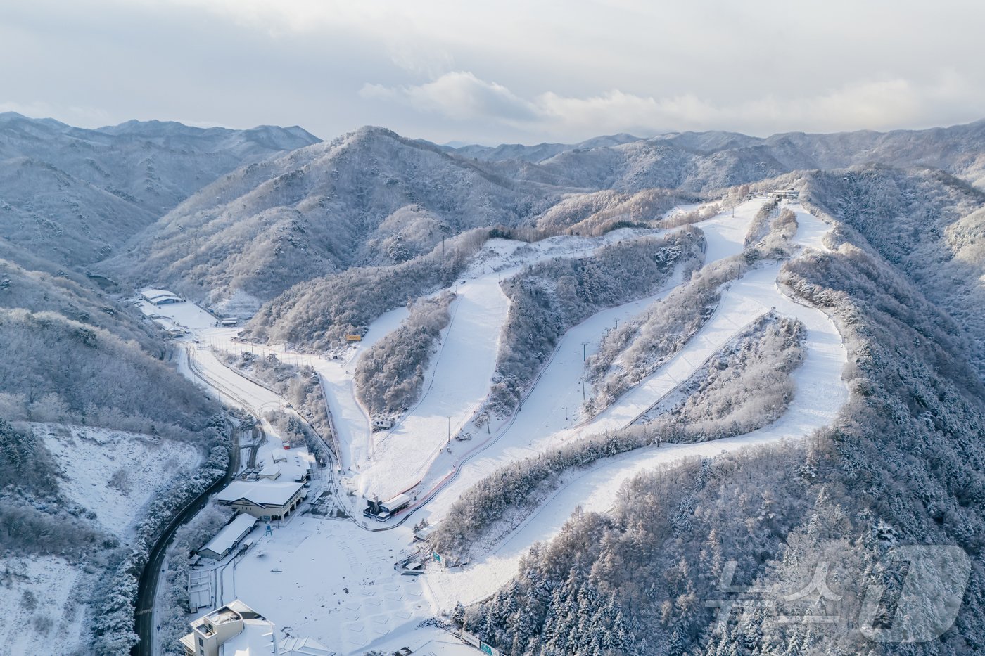 본문 이미지 - 27일 강원 춘천시 남산면 소재 엘리시안강촌 스키장에 첫 눈이 내리면서 눈 꽃이 장관을 이루고 있다.(엘리시안 강촌 제공) 2024.11.27/뉴스1 ⓒ News1 이종재 기자