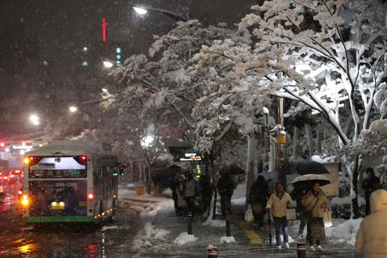 [속보] 서울 누적 적설량 최대 40㎝…관악 40.2㎝·성북 27.1㎝