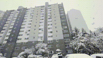 본문 이미지 - 27일 분당신도시 재건축 1차 선도지구에서 제외된 시범삼성아파트 단지의 모습. 2024.11.27/뉴스1