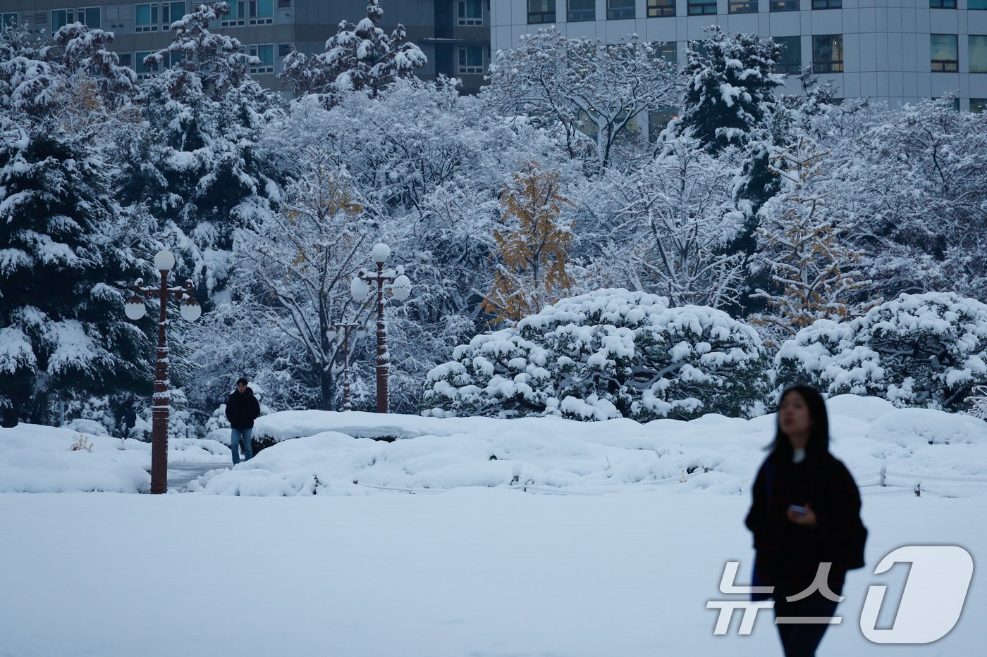 본문 이미지 - 수도권에 이틀째 많은 눈이 내린 28일 오전 서울 여의도 국회의사당 앞에 쌓인 눈 사이로 시민들이 출근하고 있다. 2024.11.28/뉴스1 ⓒ News1 안은나 기자