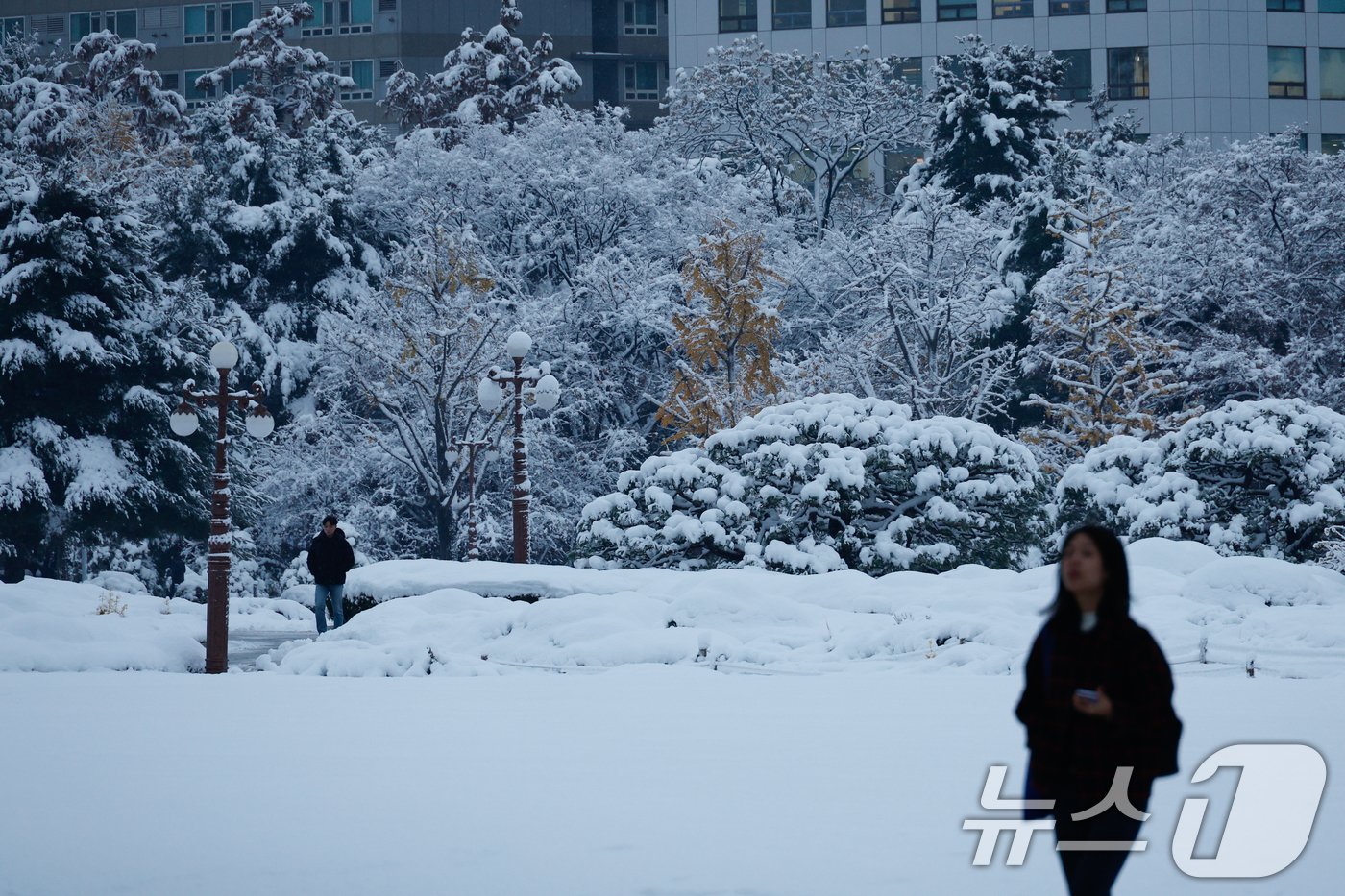 수도권에 이틀째 많은 눈이 내린 28일 오전 서울 여의도 국회의사당 앞에 쌓인 눈 사이로 시민들이 출근하고 있다. 2024.11.28/뉴스1 ⓒ News1 안은나 기자