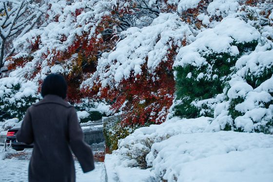 서울 28.6㎝ '역대 3위' 폭설…약해졌지만 내일까지 더 내린다