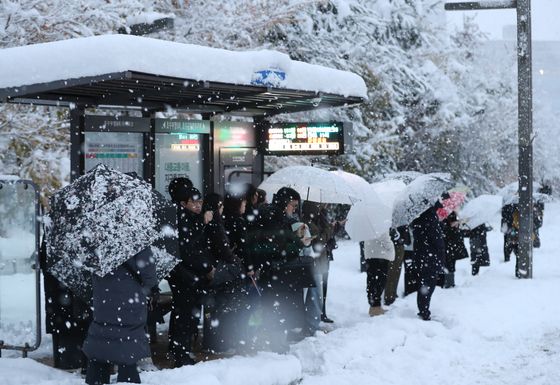 117년만 폭설에 "쓰러지고 무너지고"…서울 곳곳 피해 속출(종합)