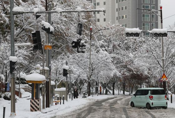 40㎝ 넘는 폭설에 전국 학교 1835곳 휴교·등하교 조정