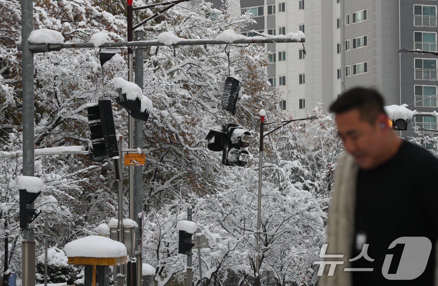 본문 이미지 - 서울을 비롯한 수도권에 기록적인 폭설이 쏟아진 28일 오전 경기 화성시의 한 신호등이 쌓인 눈의 무게를 이기지 못하고 파손돼 있다. 2024.11.28/뉴스1 ⓒ News1 김영운 기자