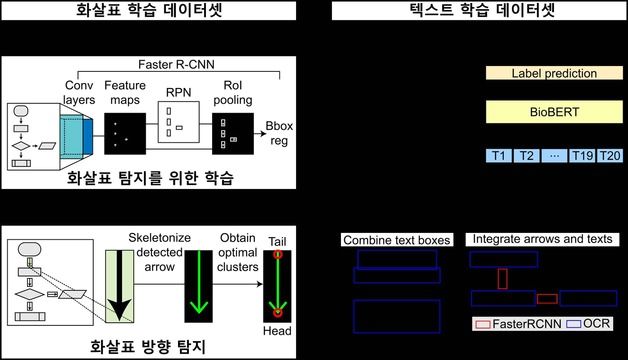 KAIST, 바이오 경로 이미지 분석 AI 기술 개발