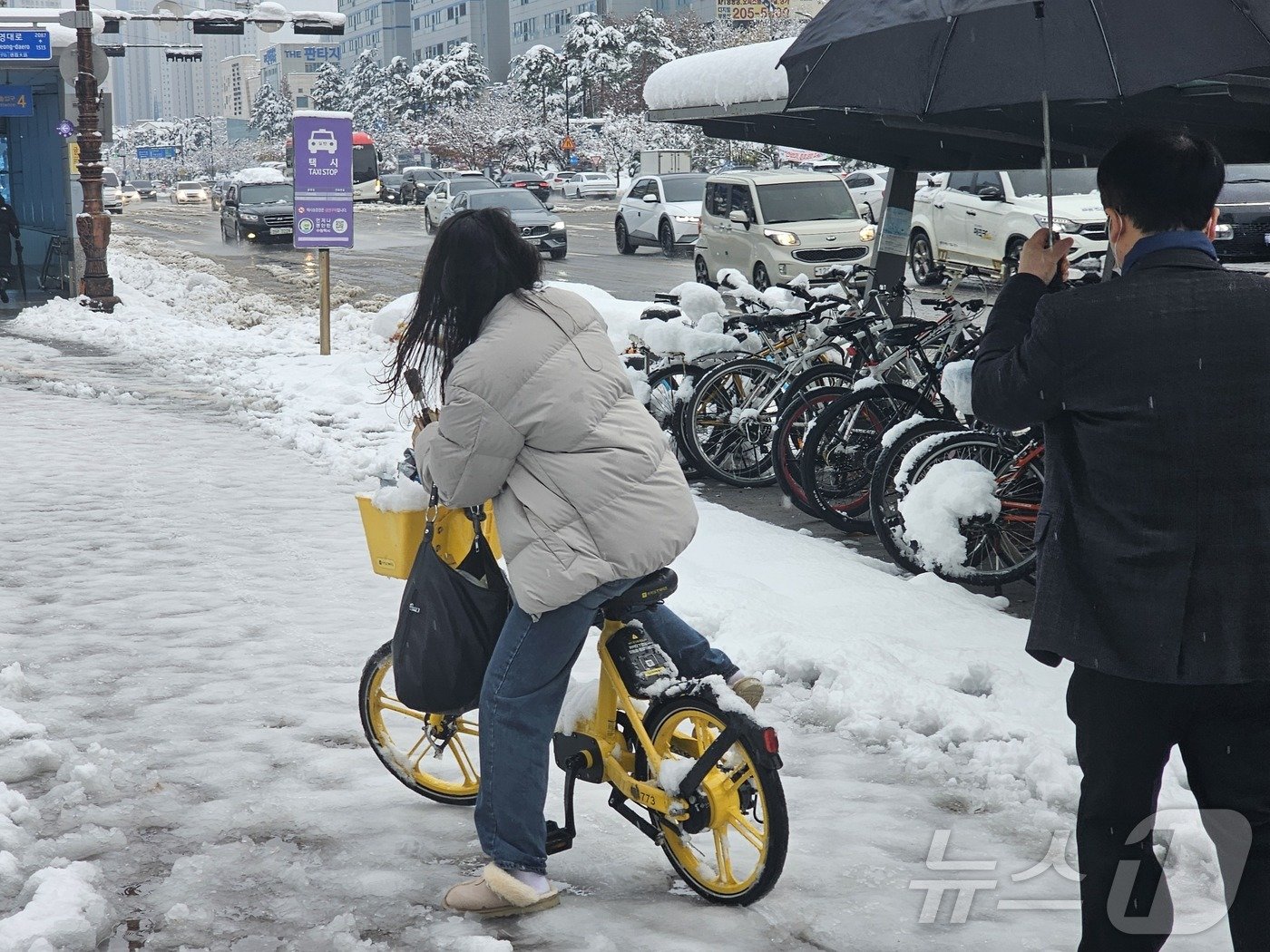 이틀째 대설이 이어진 28일 오전 경기 수원시 영통구 영통동 한 거리에서 대중교통을 이용하지 못 한 시민이 공유자전거를 타고 이동하고 있다. 2024.11.28/뉴스1 ⓒ News1 김기현 기자