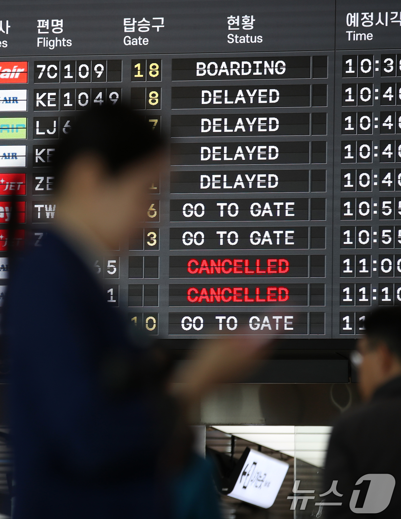 (김포공항=뉴스1) 이승배 기자 = 밤 사이 전국 대부분 지역에 많은 눈이 내린 28일 김포공항 국내선 전광판에 지연 및 결항 안내가 표시되고 있다. 2024.11.28/뉴스1