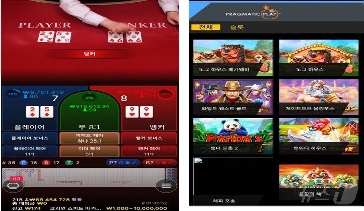 본문 이미지 -  인터넷 도박사이트 화면. (대전경찰청 제공)/뉴스1