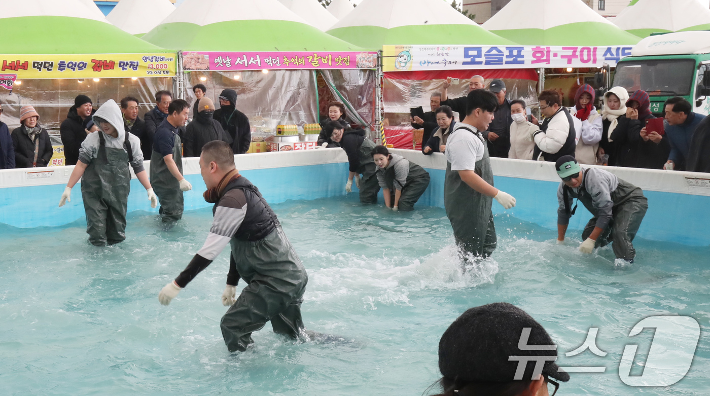 (서귀포=뉴스1) 오현지 기자 = 28일 오전 제주 서귀포시 모슬포항에서 개막한 제24회 최남단 방어축제에서 참가자들이 맨손 방어잡기 체험을 하고 있다. 2024.11.28/뉴스1 …