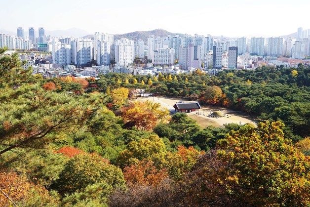 조선왕릉 숲 경제적 가치 약 779억원…탄소흡수량만 연간 3만톤