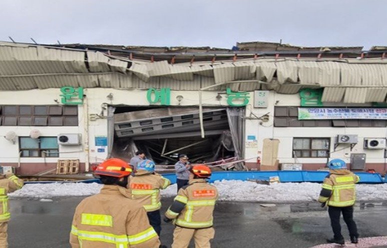 본문 이미지 - 28일 낮 12시 5분쯤 경기 안양시 동안구 농수산물도매시장 지붕이 무너지는 사고가 나 1명이 다쳤다. 사진은 사고 현장. (경기도소방재난본부 제공) 2024.11.28/뉴스1