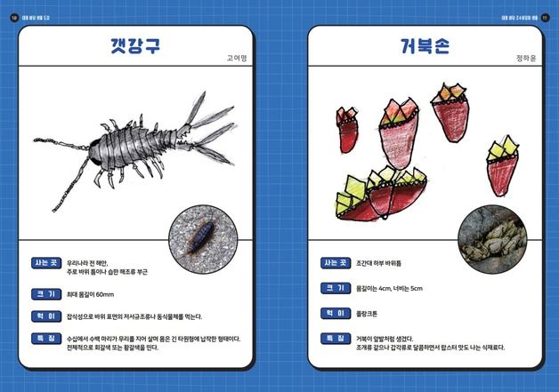 "학교 앞 바다가 교실" 제주 초등생들이 만든 특별한 '생물도감'