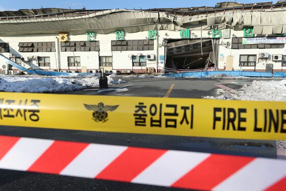 '폭설 피해' 안양 농수산물시장, 현대화 시설로 재탄생