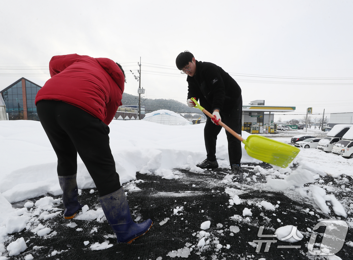 (용인=뉴스1) 김영운 기자 = 서울을 비롯한 수도권에 기록적인 폭설이 쏟아진 28일 오후 경기 용인시 처인구 남사화훼단지 일대 비닐하우스들이 눈의 무게를 이기지 못하고 무너져 관 …