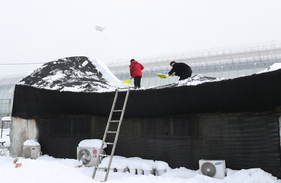 이번 주말 강원·전라 강한 눈 예보에…농진청, 대응체계 가동