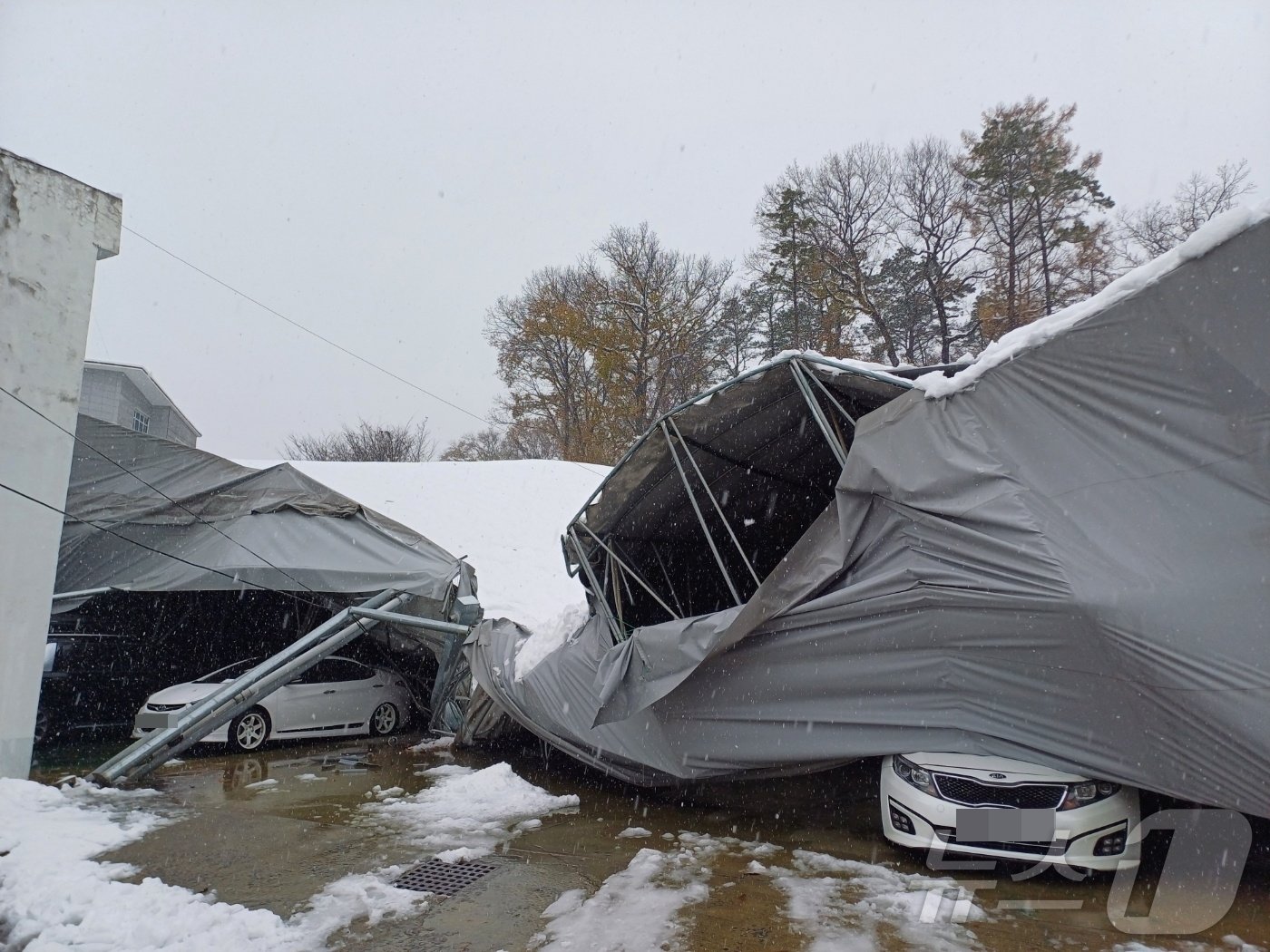 본문 이미지 - 진천 시설물 붕괴 사진(충북소방본부 제공).2024.11.28/뉴스1 