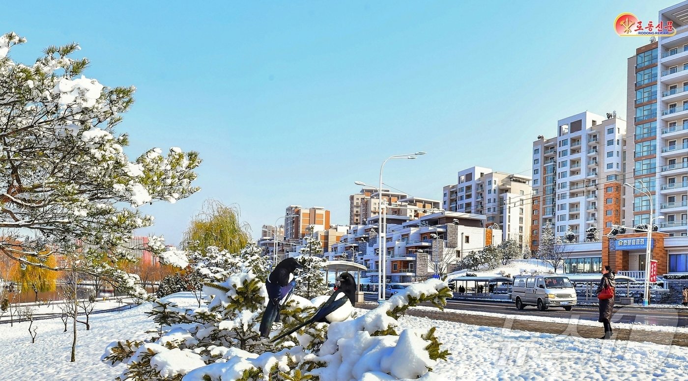 본문 이미지 - (평양 노동신문=뉴스1) = 북한 노동당 기관지 노동신문은 29일 "수도 평양에 첫눈이 내렸다"면서 평양의 설경을 선전했다.[국내에서만 사용가능. 재배포 금지. DB 금지. For Use Only in the Republic of Korea. Redistribution Prohibited] rodongphoto@news1.kr