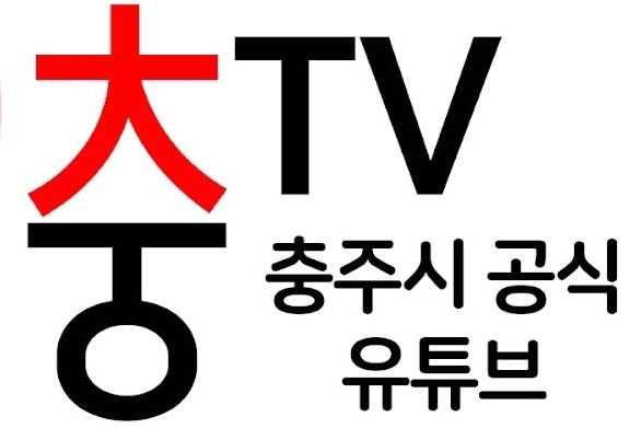 '충주맨+충주씨' 한국 공공브랜드 공공기관 부문 대상