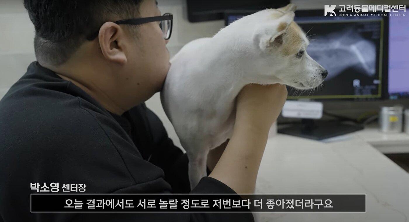 본문 이미지 - 봄이는 여러 시도 끝에 상태가 좋아지고 있다. (동물병원 제공) ⓒ 뉴스1