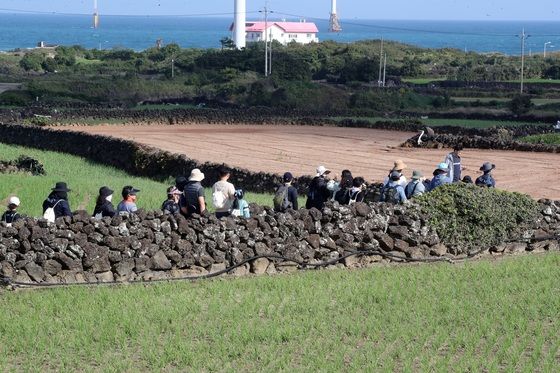 [오늘의 날씨] 제주(5일, 화)…구름 많다가 오후부터 '맑음'