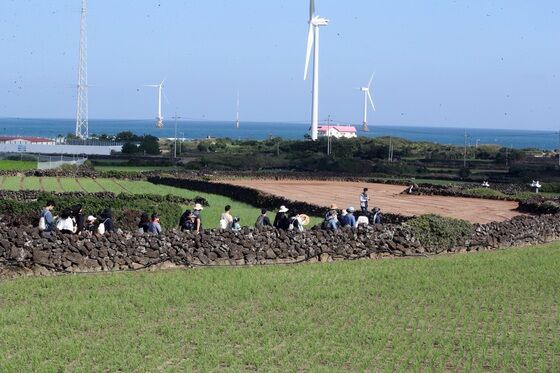 '제주 전통 돌쌓는 기술' 제주도 무형유산 지정된다