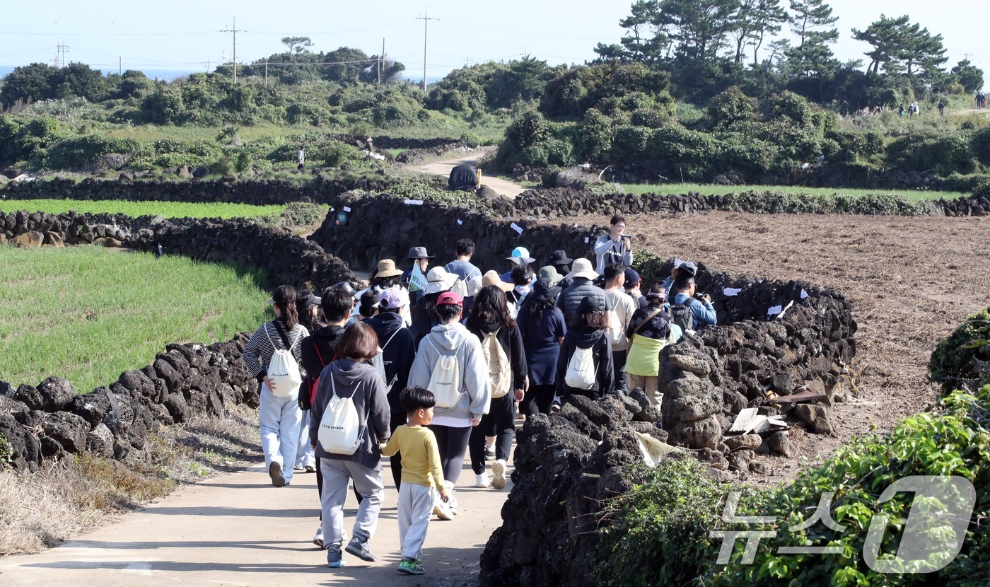 (제주=뉴스1) 고동명 기자 = 3일 제주시 구좌읍에서 열린 제8회 밭담축제 참가자들이 밭담길을 걸으며 가을 정취를 느끼고 있다.2024.11.3/뉴스1