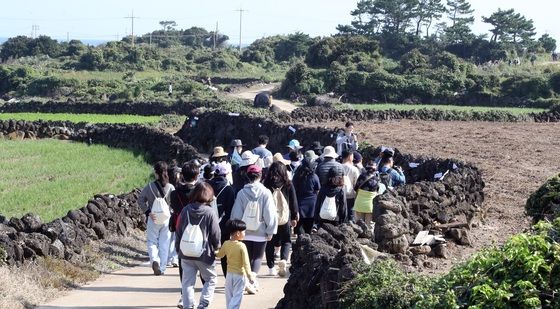 '제주 밭담길'