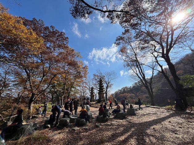 대전충남 가을 단풍·꽃 축제 만끽…야외명소 나들이객 '북적'