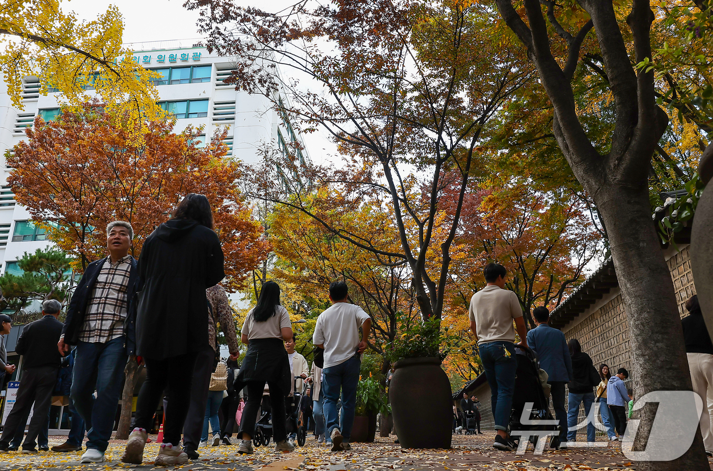 (서울=뉴스1) 김진환 기자 = 서울의 낮 최고기온이 24도 가까이 오르는 등 포근한 날씨를 보인 3일 오후 서울 중구 덕수궁 돌담길에 단풍이 물든 가운데 시민들이 늦가을 정취를 …