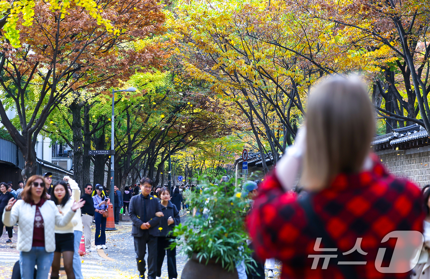 (서울=뉴스1) 김진환 기자 = 서울의 낮 최고기온이 24도 가까이 오르는 등 포근한 날씨를 보인 3일 오후 서울 중구 덕수궁 돌담길에 단풍이 물든 가운데 외국인 관광객들이 늦가을 …