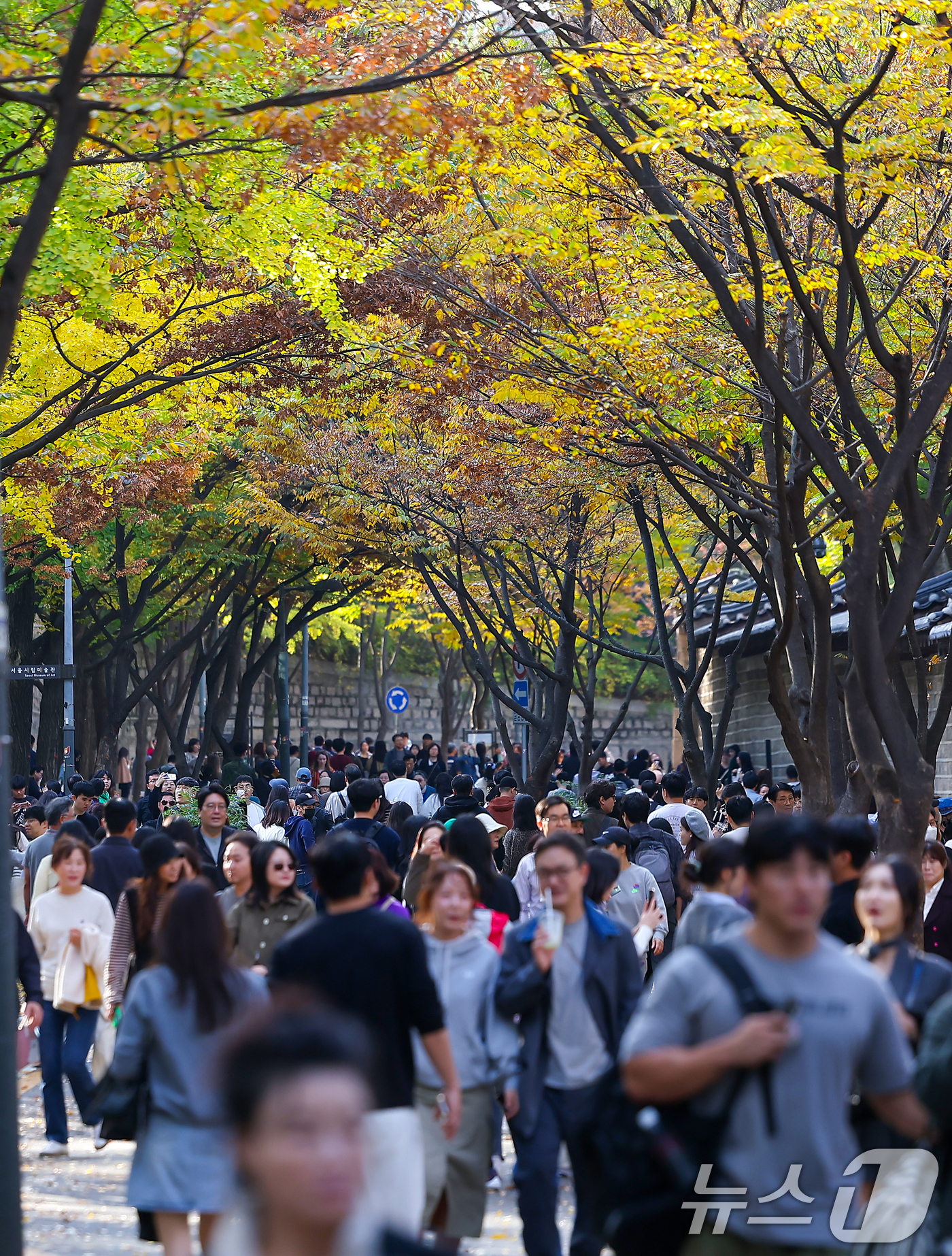 (서울=뉴스1) 김진환 기자 = 서울의 낮 최고기온이 24도 가까이 오르는 등 포근한 날씨를 보인 3일 오후 서울 중구 덕수궁 돌담길에 단풍이 물든 가운데 외국인 관광객들이 늦가을 …