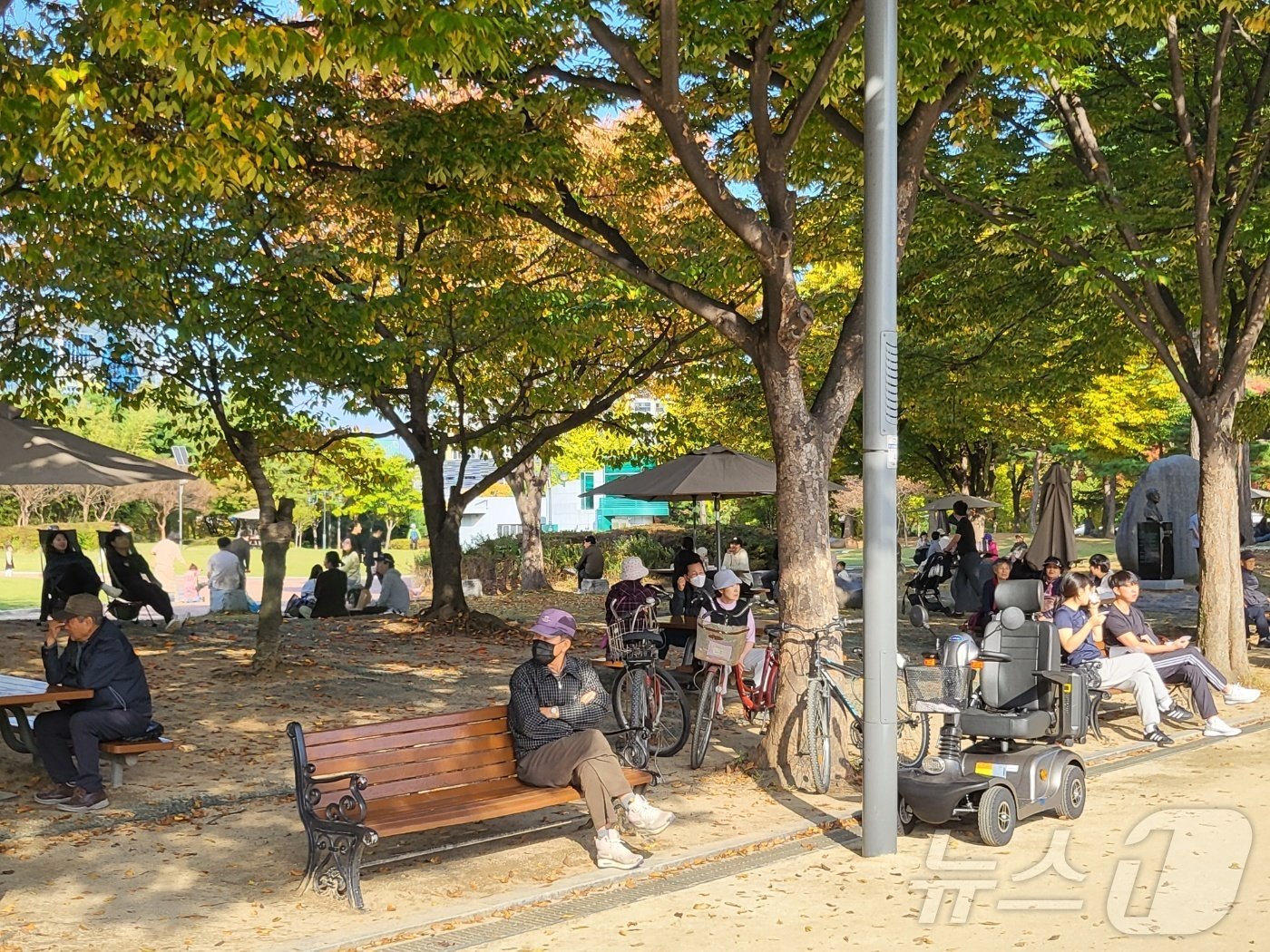 3일 오후 대구 대표 관광지인 수성못에 있는 벤치에서 일부 시민들이 가을 햇살을 맞으며 편안한 주말을 보내고 있다. 2024.11.3/뉴스1 ⓒ News1 이성덕 기자