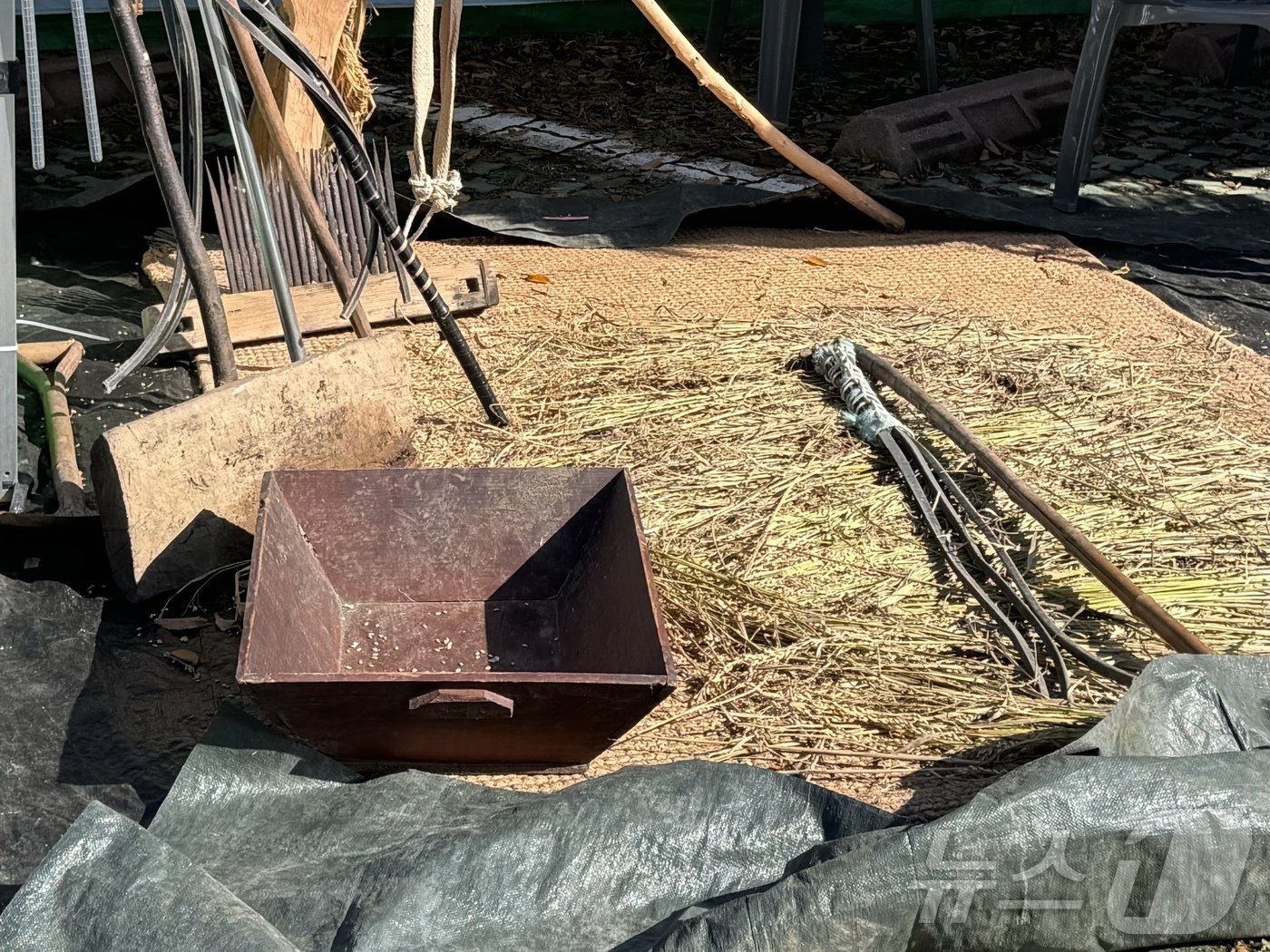 본문 이미지 - 농도한마당 행사장 속 &#39;새끼꼬기&#39; 체험부스.2024.11.3./뉴스1 김세은 기자