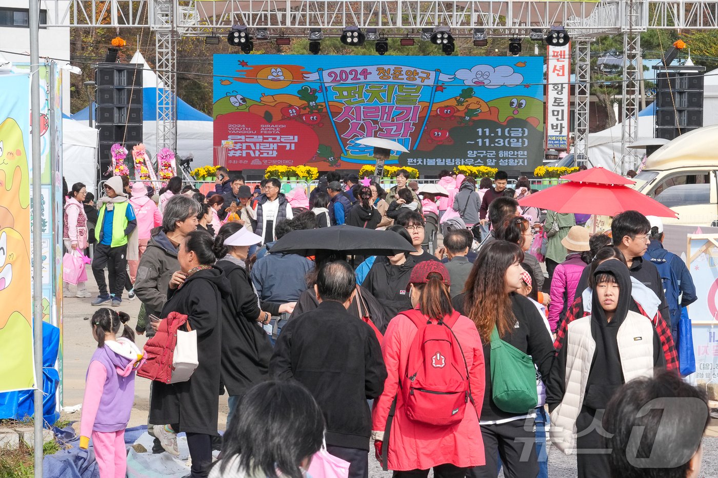 본문 이미지 - 2024 청춘양구 펀치볼시래기사과 축제 관련 사진.(양구군 제공)/뉴스1
