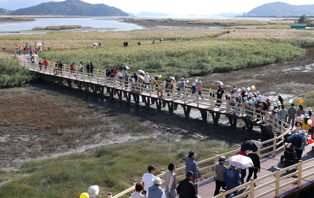 지역축제에 1회용품 대신 다회용기 썼더니…1인당 폐기물 24% 줄어