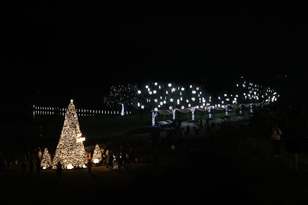 세종시 "어진 크리스마스 축제 함께해요"…트리 점등식·문화공연