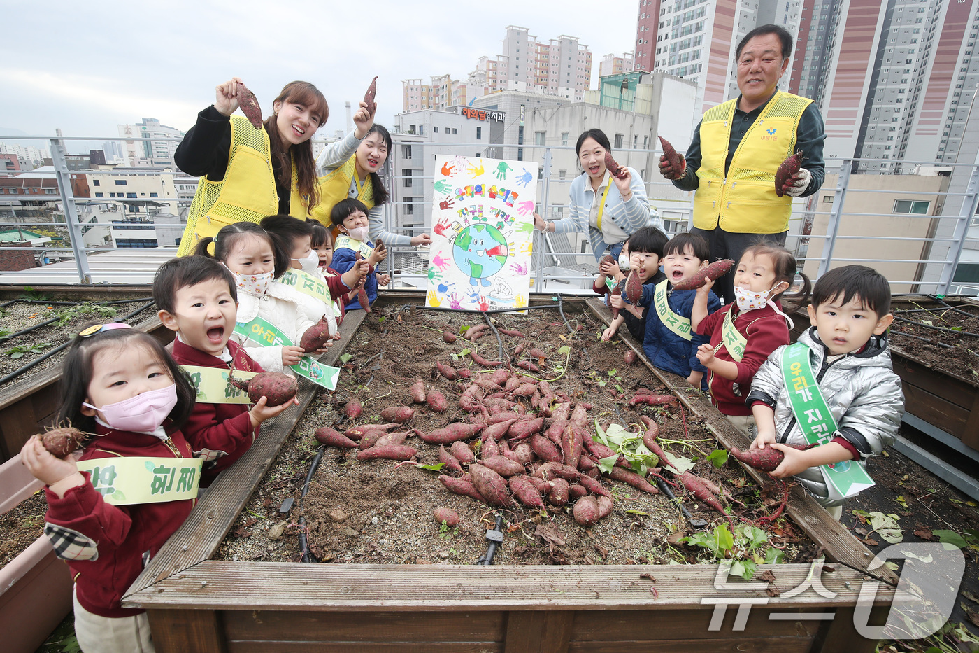 (대구=뉴스1) 공정식 기자 = 4일 오전 대구 중구 대봉1동 행정복지센터 옥상 텃밭에 마련된 생태체험학습장에서 인근 태왕아름별어린이집 원생들이 여름 동안 정성껏 가꾼 고구마를 수 …