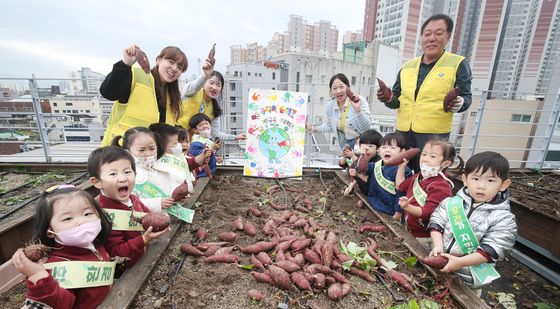 옥상 텃밭은 소중한 생태체험학습장