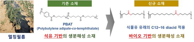 섬유개발연구원, 멀칭필름용 바이오 기반 생분해성 소재 개발 나서