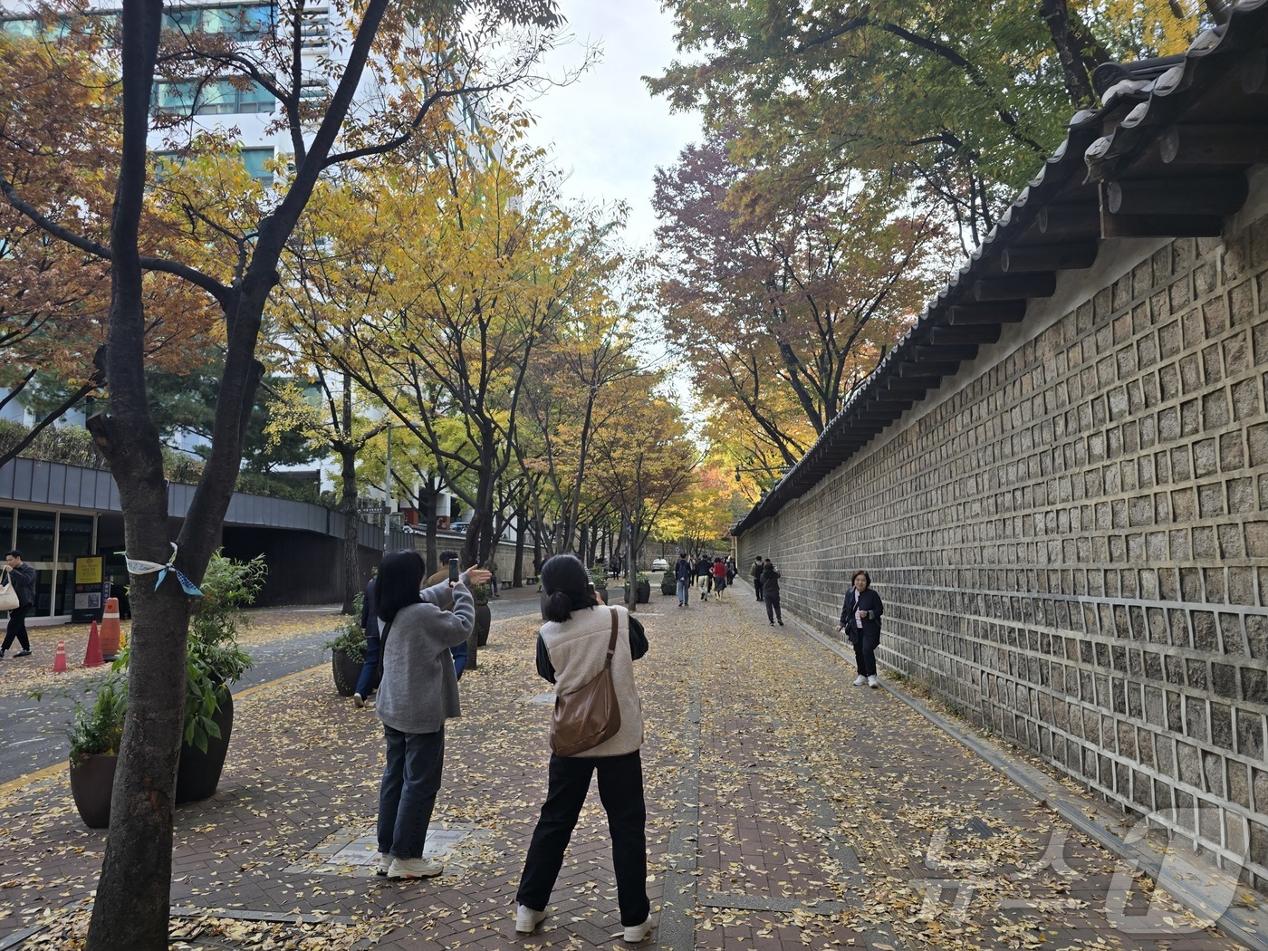 (서울=뉴스1) 황덕현 기후환경전문기자 = 입동(立冬, 7일)을 사흘 앞둔 4일, 서울 중구 정동길(덕수궁길)에 가을 단풍을 구경하려는 시민들이 몰려 있다.기상청에 따르면 이번주에 …