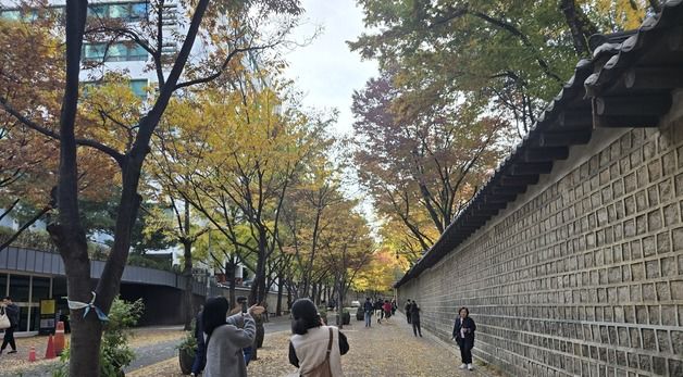 '입동' 깜짝 영하 추위 앞두고 서울 정동길 단풍 만개