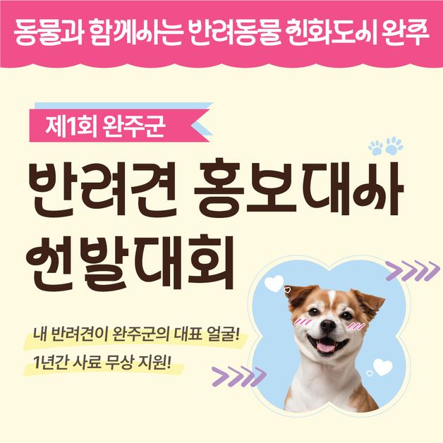 완주문화재단, 반려견 홍보대사 5마리 모집…1년간 사료 지원