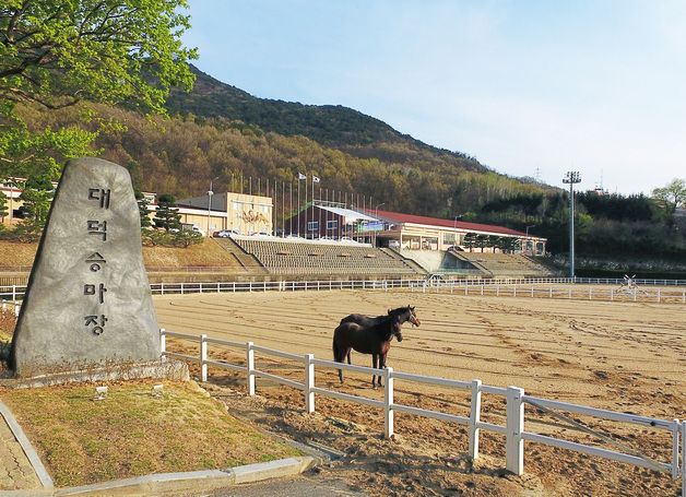 대구공공시설관리공단, 대덕승마장 체험승마 프로그램 확대