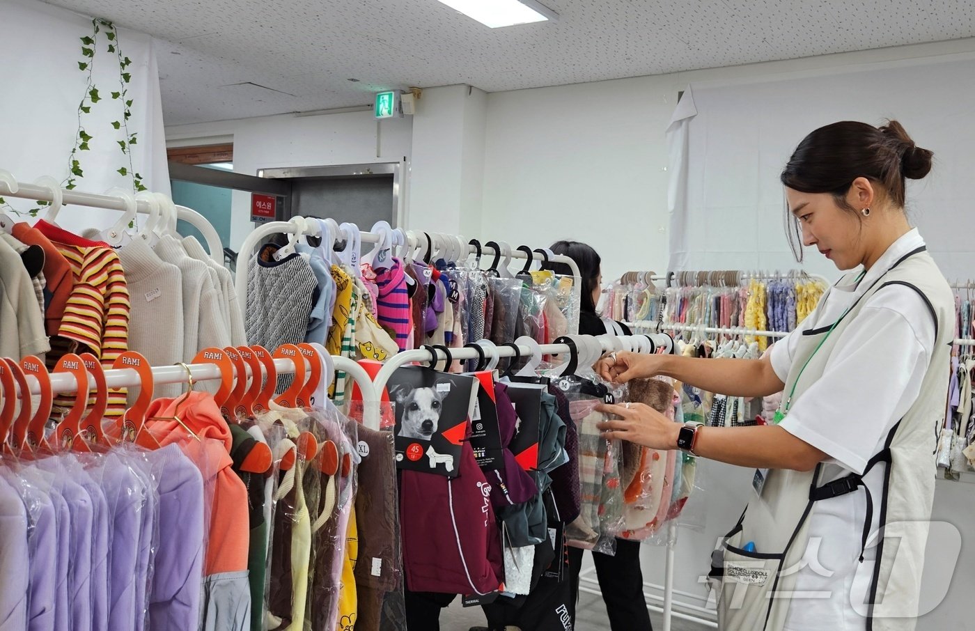 본문 이미지 - 김소라가 3일 열린 평강공주보호소 돕기 바자회에서 봉사를 하고 있다. ⓒ 뉴스1