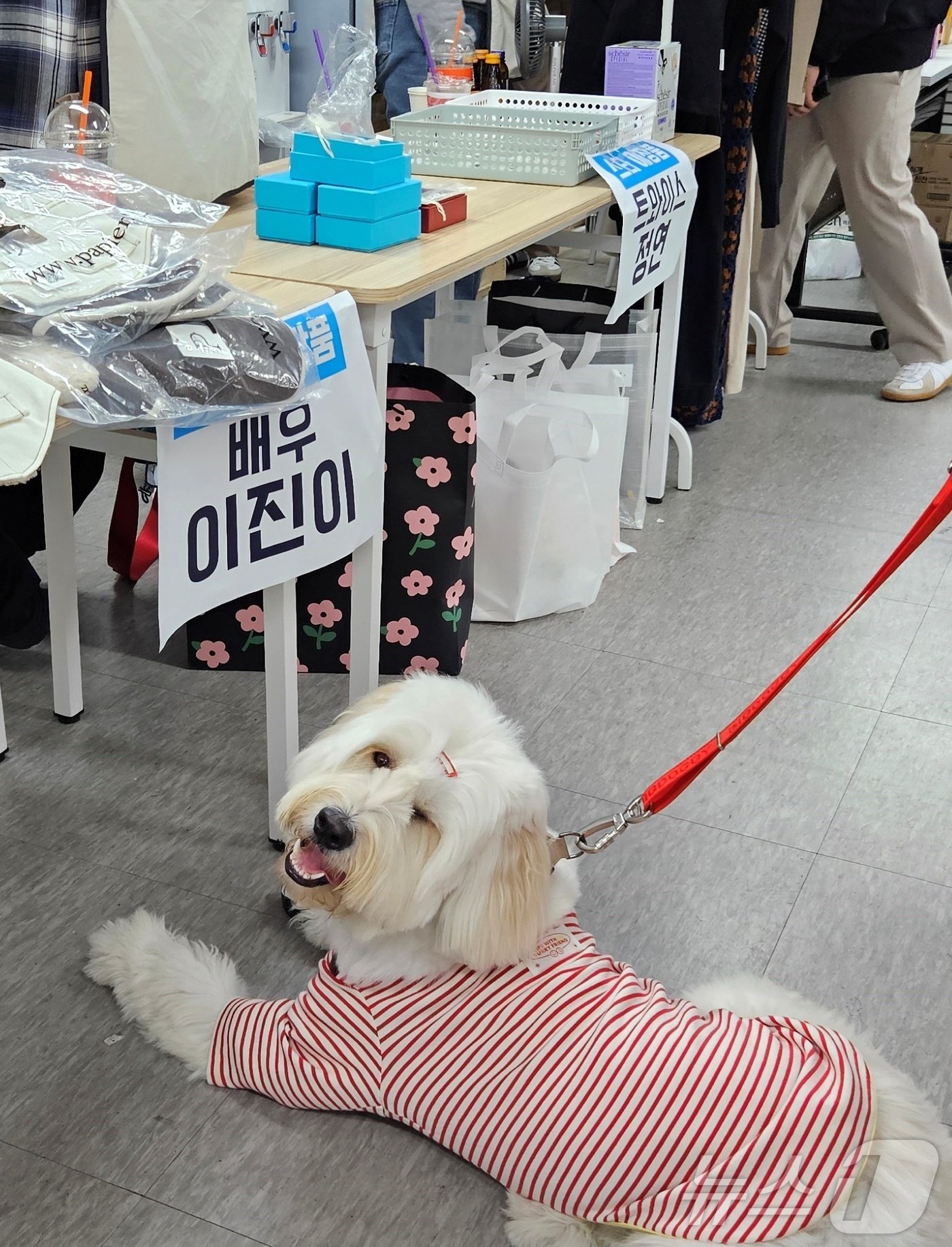 3일 서울 서초구 올댓마인드 신논현점에서 평강공주보호소를 돕기 바자회가 열렸다. ⓒ 뉴스1