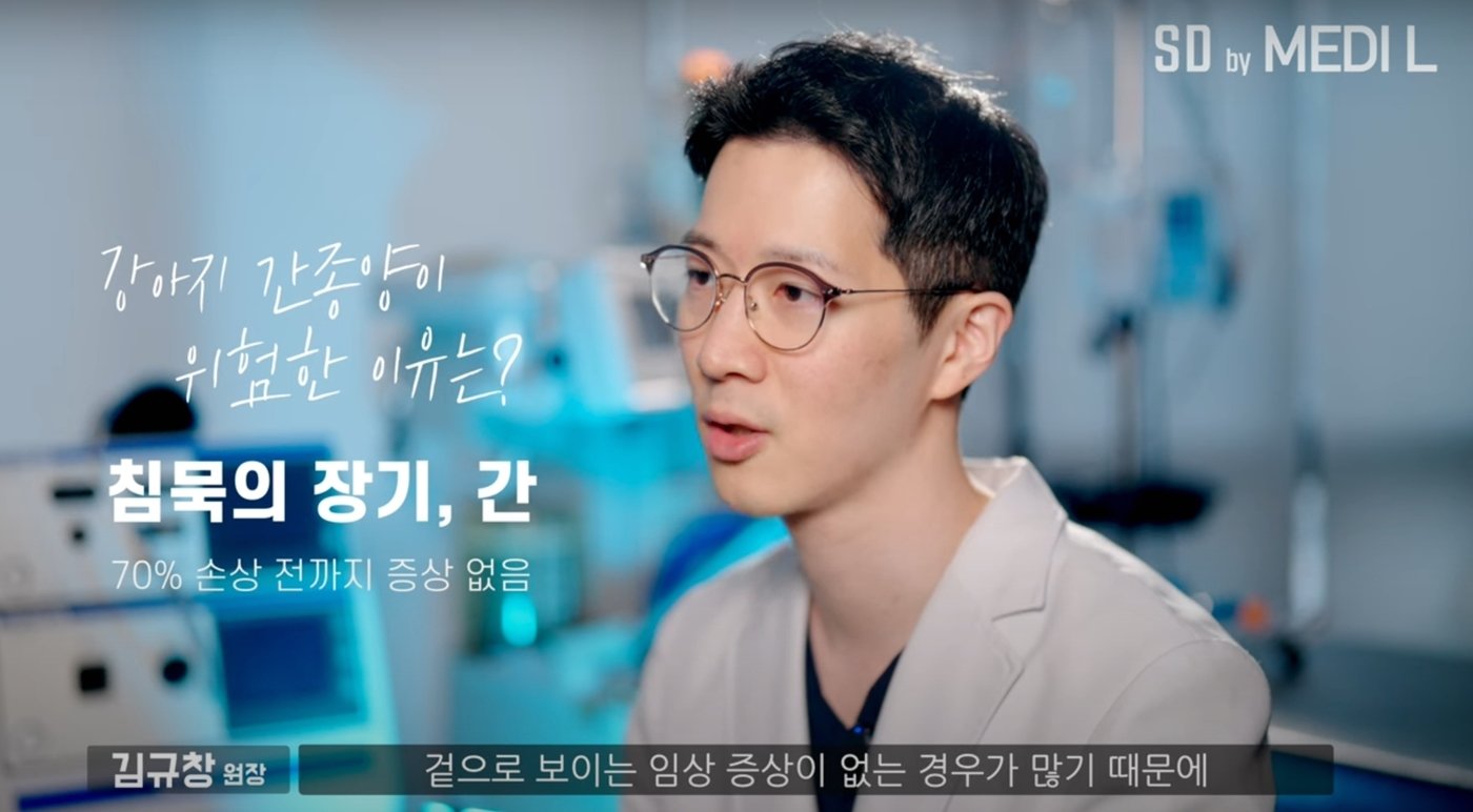 본문 이미지 - 김규창 SD동물의료센터 원장이 유튜브 강의를 통해 반려견의 간종양에 대해 설명하고 있다. &#40;SD동물의료센터 제공&#41; ⓒ 뉴스1