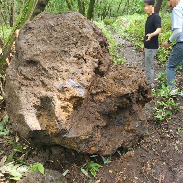 한라산서 '4톤' 자연석 캐낸 일당 검찰 송치