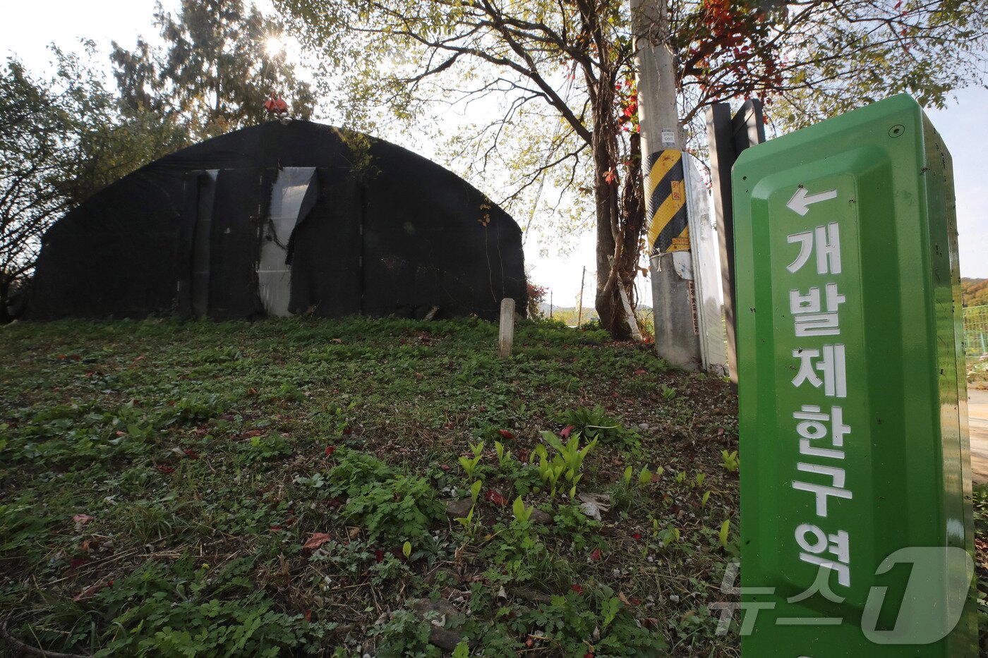 본문 이미지 - 국내 한 개발제한구역(그린벨트) 지정 지역 모습.ⓒ News1 DB