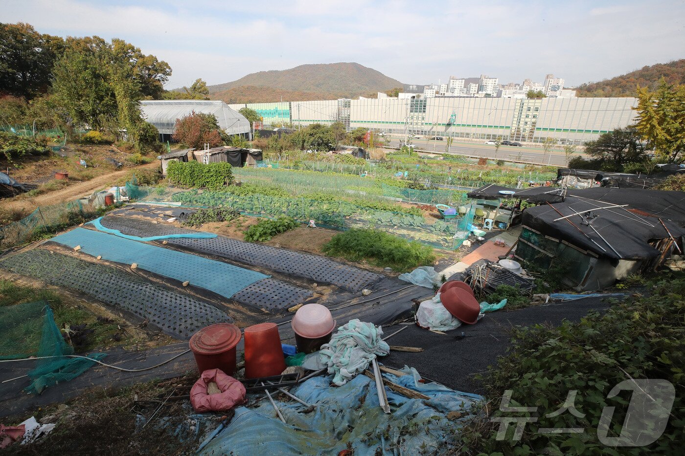 본문 이미지 - 서울 서초구 원지동 모습. 뉴스1 ⓒ News1 박세연 기자